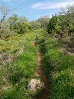 Arrizuri aldera igotzen