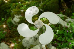 Arrizuri tontorra. Lauburu batek seinalatzen du.