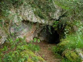 Tomazulo koba. Beste sarrera bat.