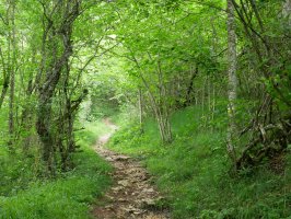 Badira pago ikusgarriak Hegoaldeko hegian