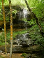 Beste ur jauzi bat bide bazterrean