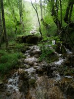 Igoroin herriko ur-jauzia