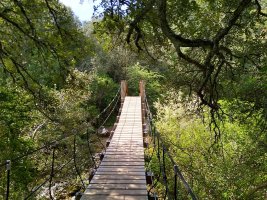 Zubi eskegia Ubaguako bidean