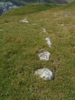 planas de lapazosa 1