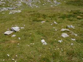 planas de lapazosa 3