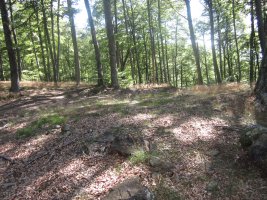 Dólmen Auntzetxe  (Julio 2013)