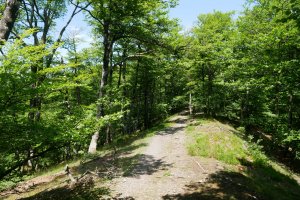 Hegoaldeko bizkarreko pasarte bat