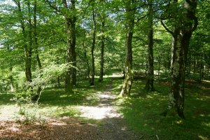 Tontorrera gerturatzen hegoaldeko bizkarretik