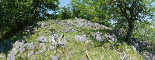 Intsusako Harmala tontorra