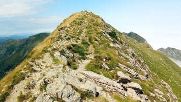 Lakartxela (1982m) tontorreko gandorra