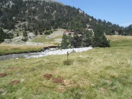 pla de la gole tumulua