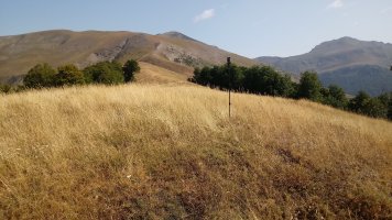 Burgi (1530m) tontorra