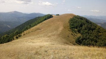 Goienburu (1550m) lepoaldetik