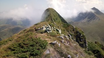 Sardekagaña (1893m) tontorreko gandorra