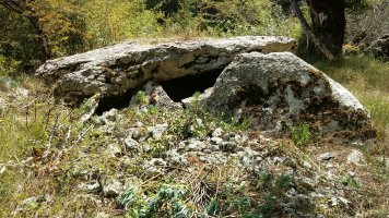 Zubeinta trikuharria