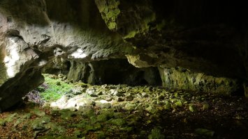 Aparein koba: hiru sarrera