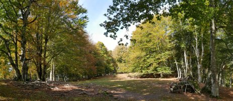 Tontorraren inguruak