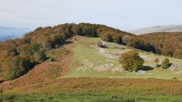 Oregigaña Aparein aldetik.