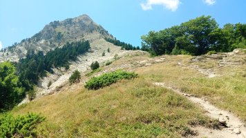 Txamatxoia (1941m) Aztaparreta lepoko sendatik igotzen