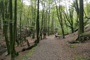 Eskaspeko errekara jaisten