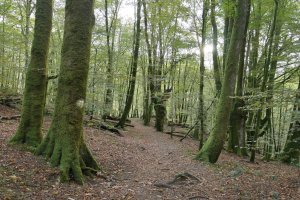 Eskasetik Artikutzara jaisten