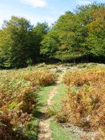 GR12 bidea Alleko eta Puttarri artean