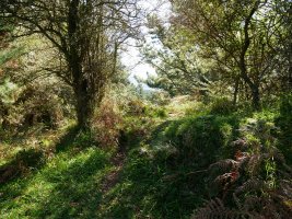 Argiñaoko Atxeko tontorra