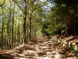 Ibilbidearen erdialdeko pasarte bat