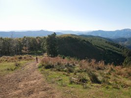 Mandoiaren mendebaldeko bizkarra