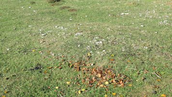 Corral de Celestino etxola hondoa, Ameskoako Limitazioak