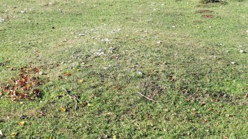 Corral de Celestino etxola hondoa, Ameskoako Limitazioak