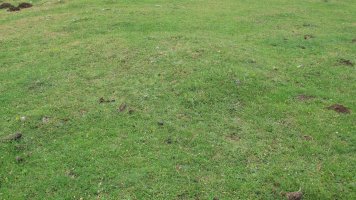 Alto Rincon de Urbasa 2 ekialde tumulua, Urbasa