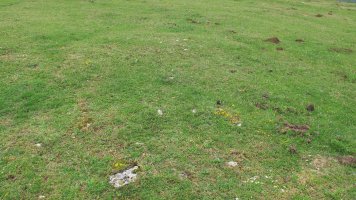 Alto Rincon de Urbasa 2 ekialde tumulua, Urbasa