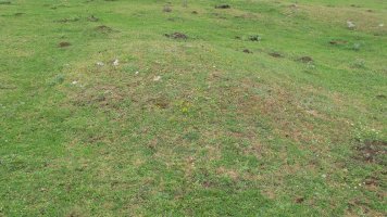 Alto Rincon de Urbasa 1 mendebal tumulua, Urbasa