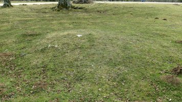 Camino de Arratondo Sur 2 tumulua, Ameskoako Limitazioak