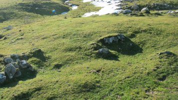 Arrate Zar etxola hondoa, Erregenea