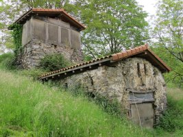 San Ignazio karobia, Bedaio Tolosa