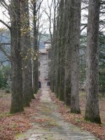 Oteitza jauregia, Doneztebe