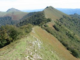 Mko hegi luzea, Loitzateraino luzatzen dena