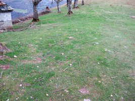 Bidegurutzeta trikuharria guztiz desagertua