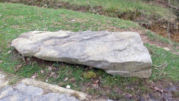 Trikuharriaren kamarako harri bat