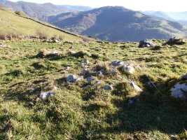 C. tumular Kardaño T 3