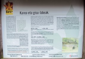 Kisulabea, Bertiz-Bertizarana