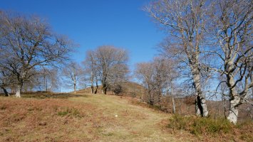 Lizartzeta, HEkialdeko bizkarretik