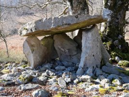 Azango Miaka trikuharria