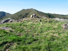 Oltzorrotz gaina 2005ean