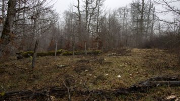 El Alto de la Brecha