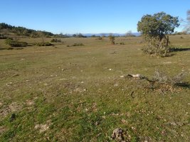 paso de campullido 1