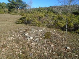 paso de campullido 2