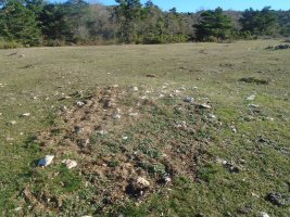 paso de campullido 5